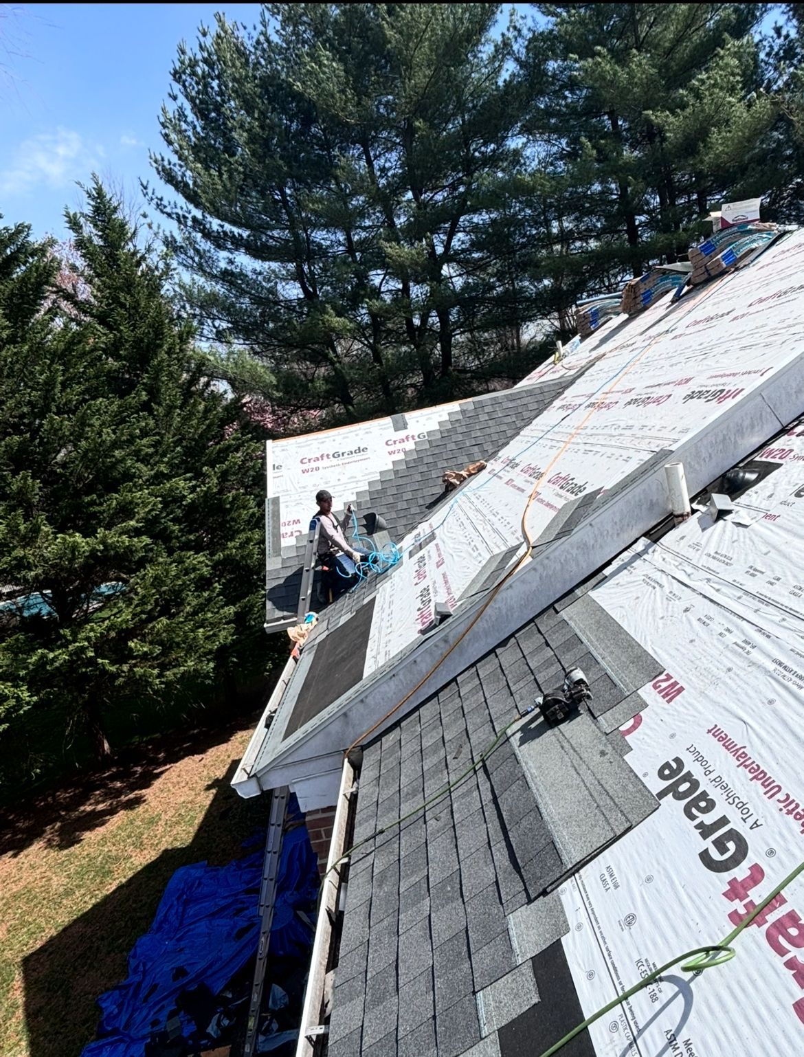 Roofing work in progress; person on rooftop laying shingles. New shingles, underlayment, and trees.