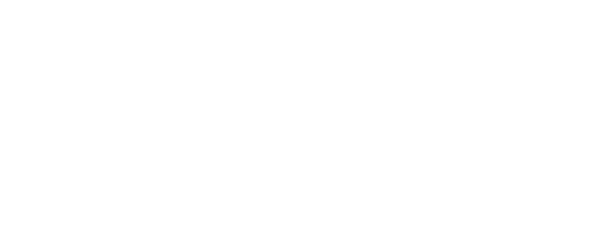 Precision Finish Boston - logo