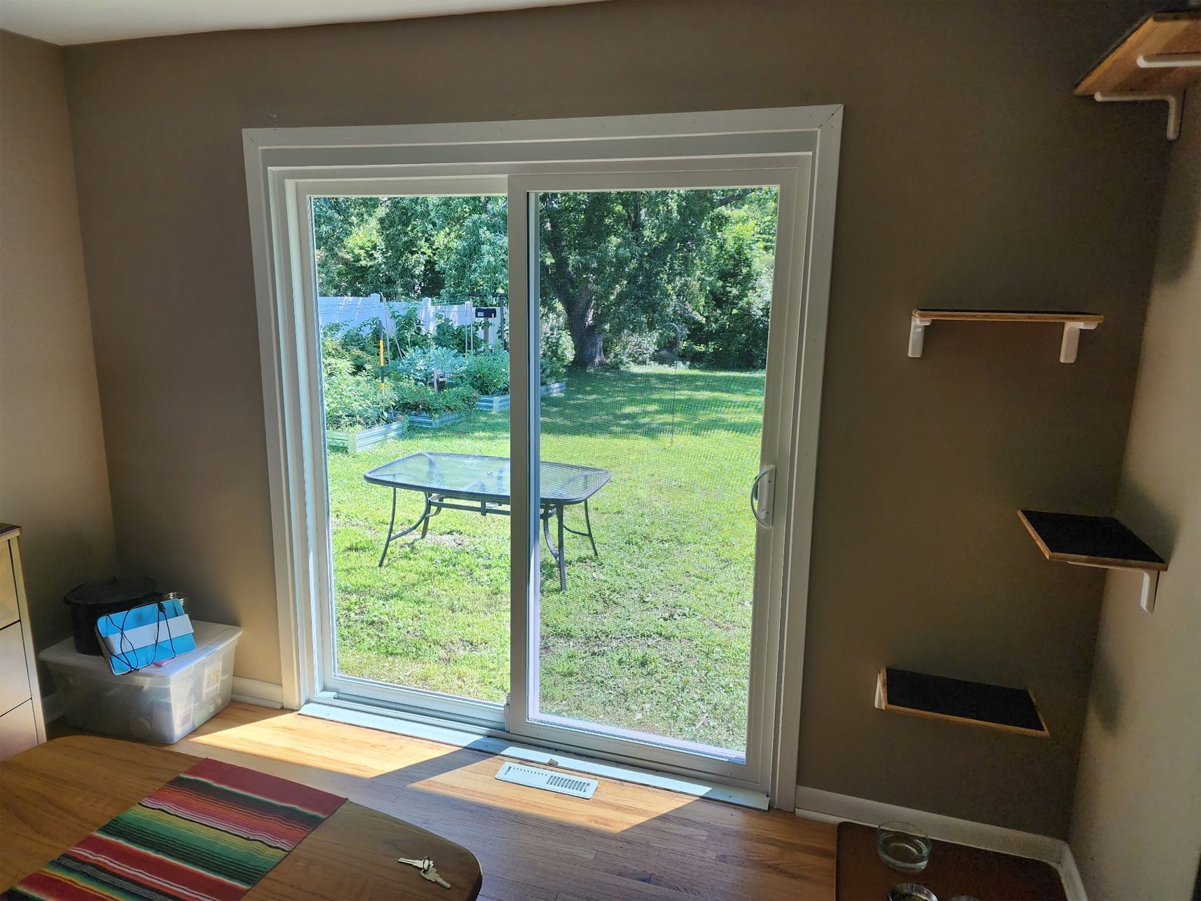 Sliding glass door, backyard view. Cat shelves on the right. Table and greenery outside.