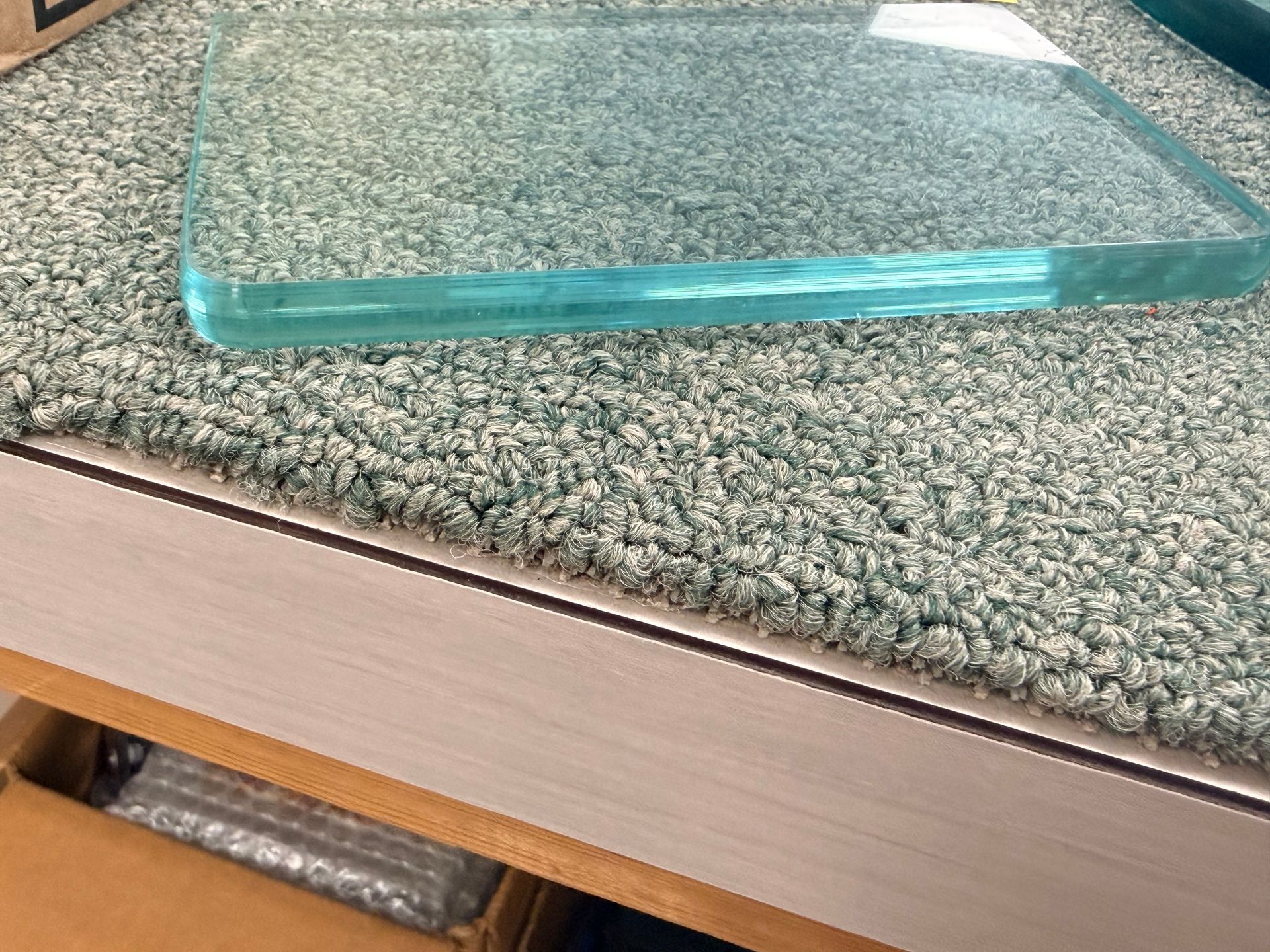Striped glass panel partially obscuring a potted plant with green leaves and a coral-colored pot.