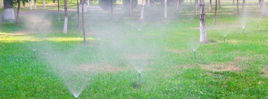 Commercial sprinkler system