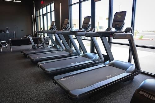 Row of treadmills in a modern gym with sunlight from large windows