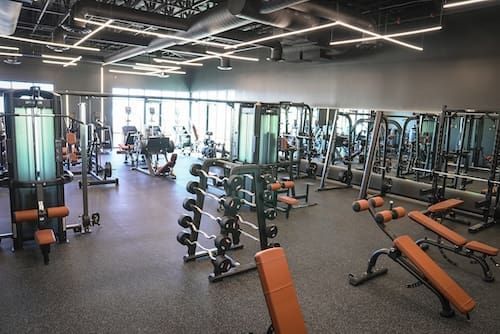 Empty gym with weight machines, dumbbells, and benches in a bright, modern workout room.