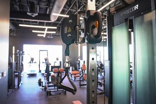 Gym interior with cable machine and weight equipment, lit by bright windows