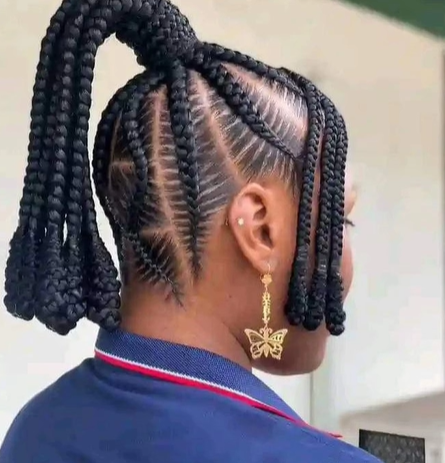 Braided hairstyle with a ponytail and butterfly earring.