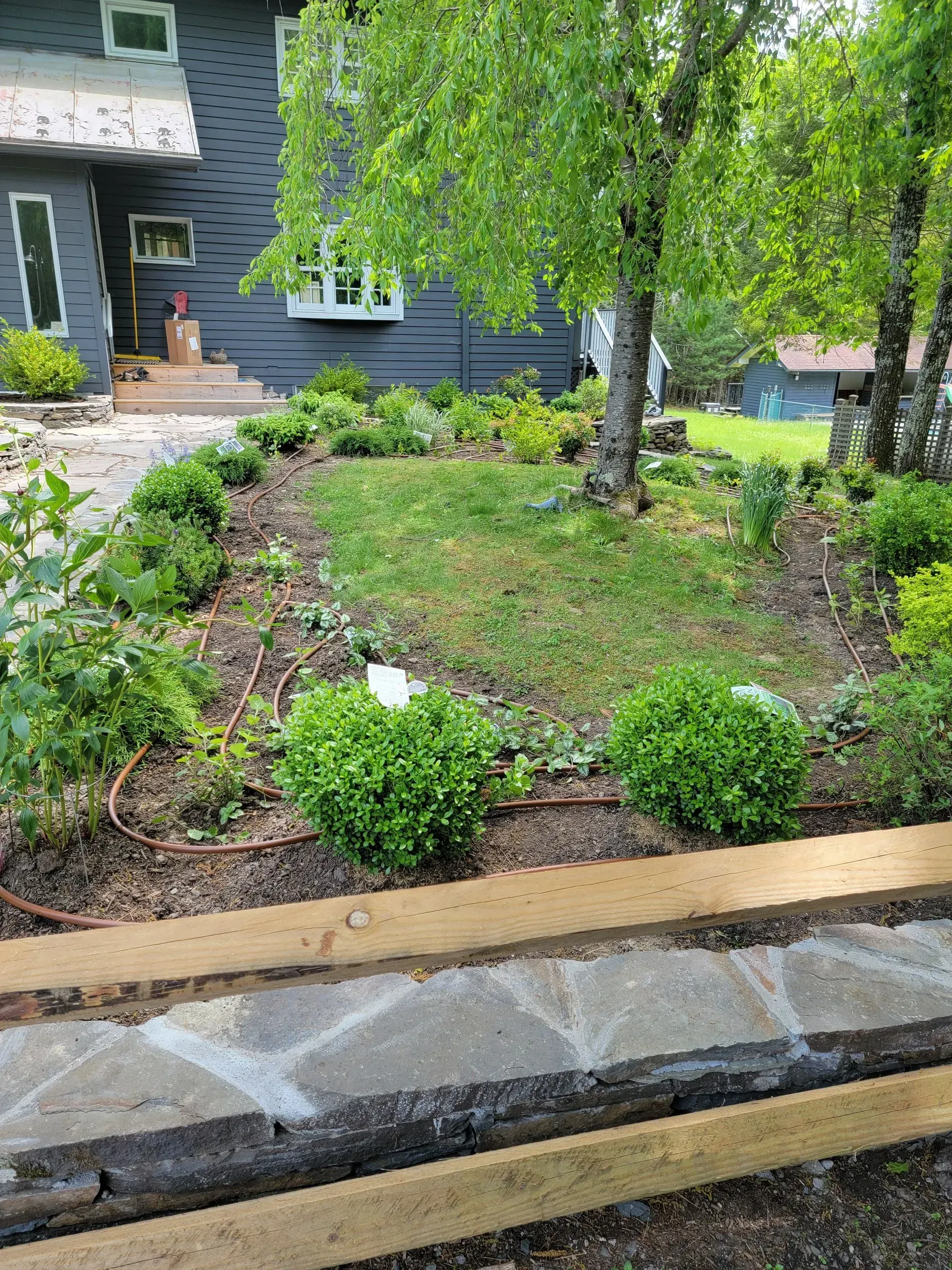 A dark-sided house with a stone pathway and timber retaining wall beside a garden bed featuring green shrubs and a tree.