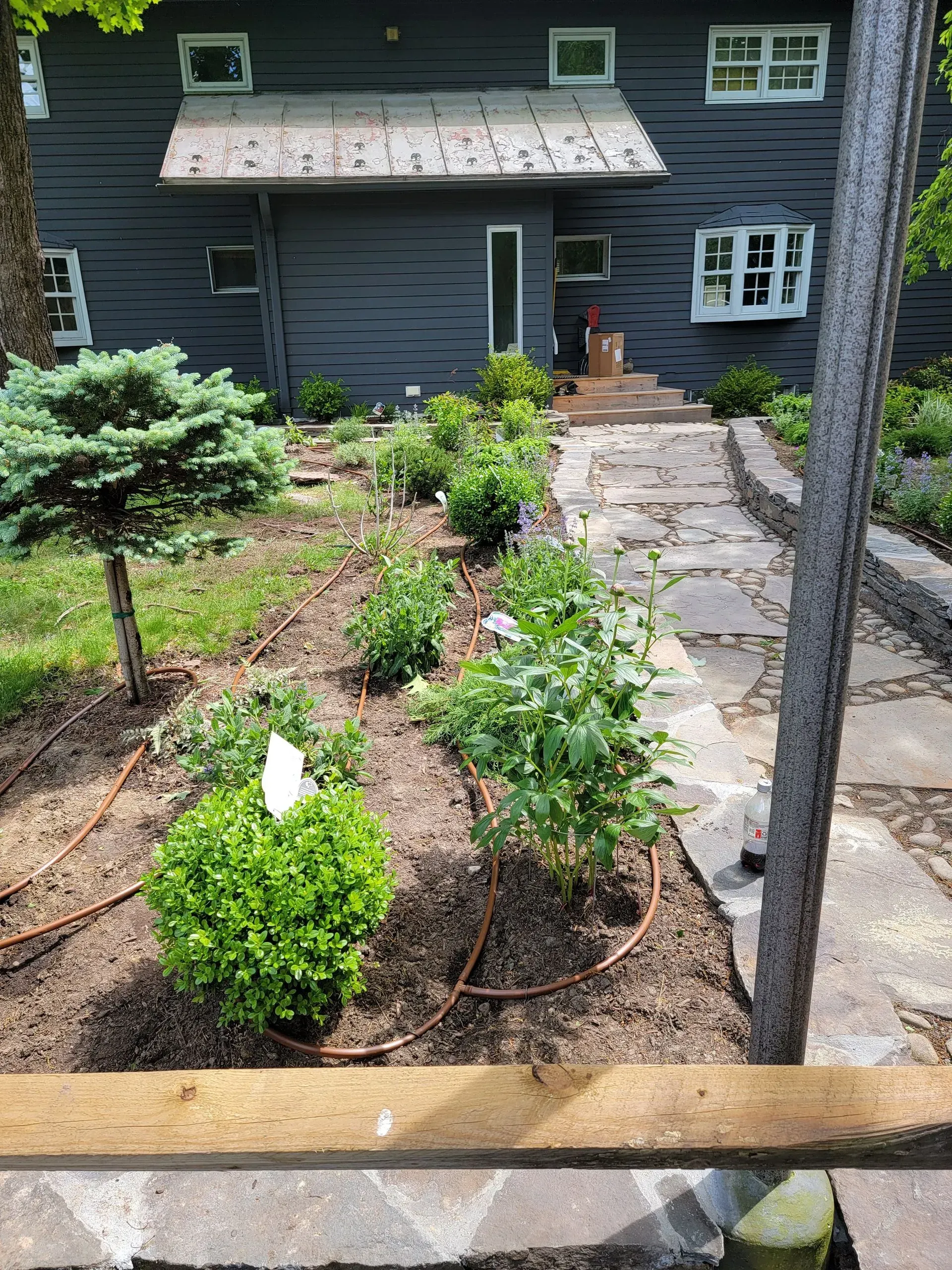 A stone walkway leads to the entrance of a dark-sided house, surrounded by a mulched garden bed with various green shrubs.