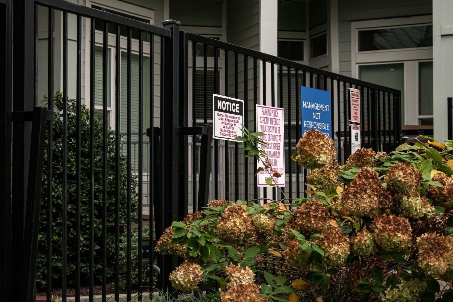 A black fence with flowers in front of it and signs on it.