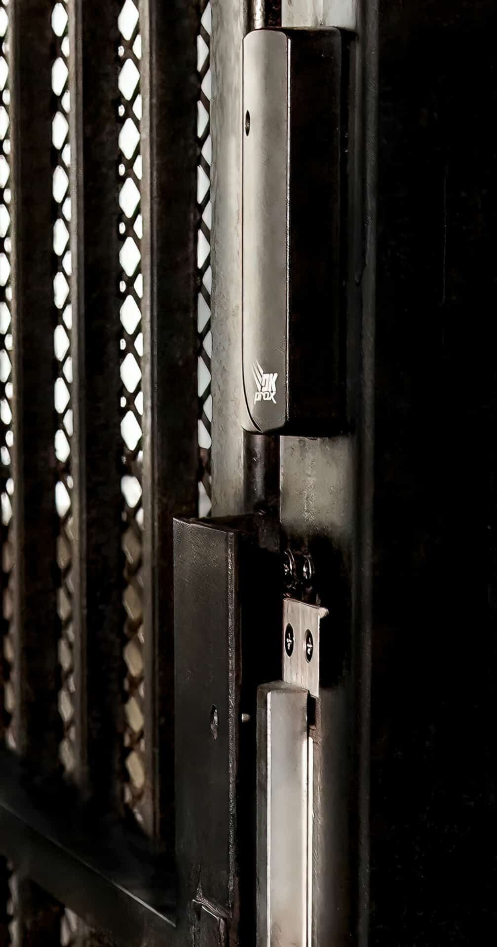 A close up of a metal gate with a lock on it.