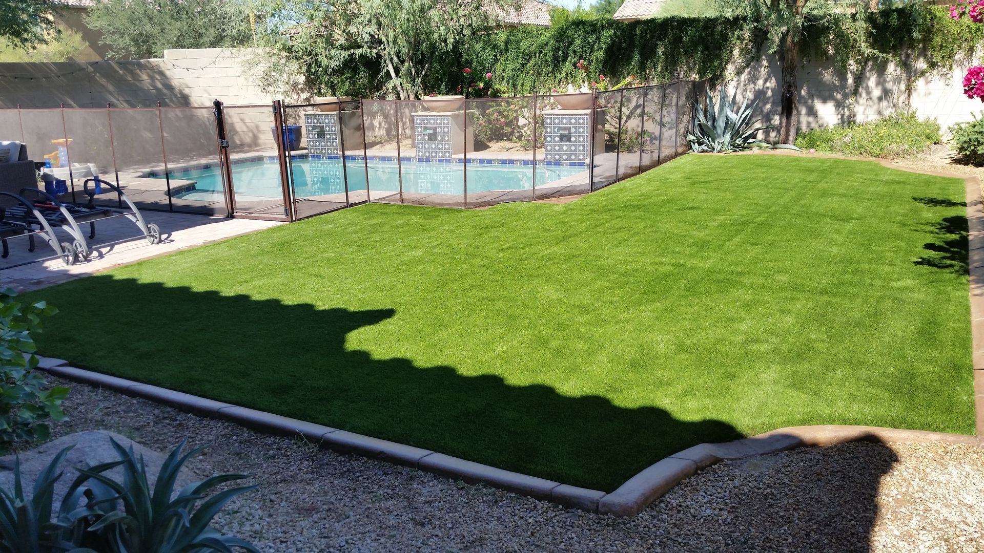 Bright green lawn beside a fenced swimming pool in a sunny backyard