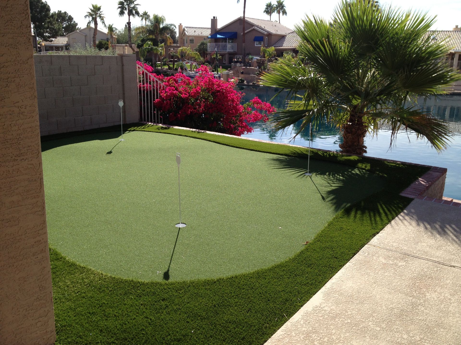 Backyard putting green beside a pool, with a palm tree and bright pink flowers.