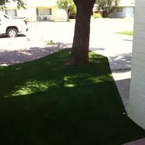 Shaded green lawn beside a tree and white house corner on a sunny suburban street
