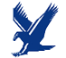 blue eagle Icon