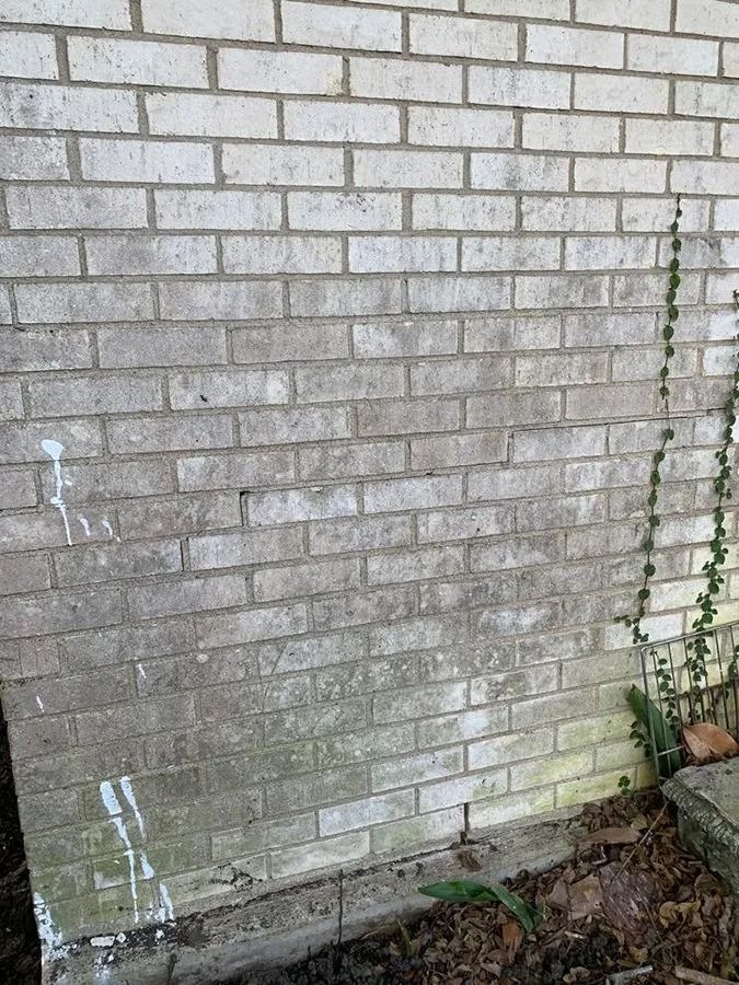 Weathered brick exterior wall with white stains, weeds at the base, and a narrow vine on the right