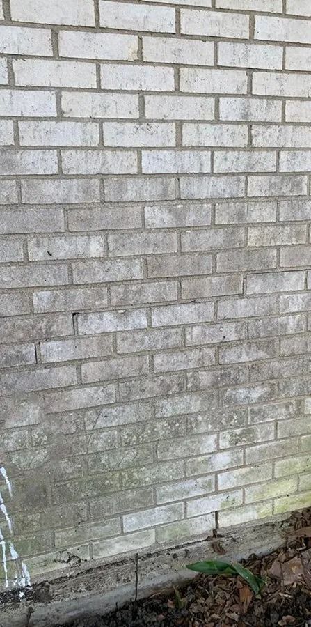 Weathered white brick wall with green moss and grime near the base