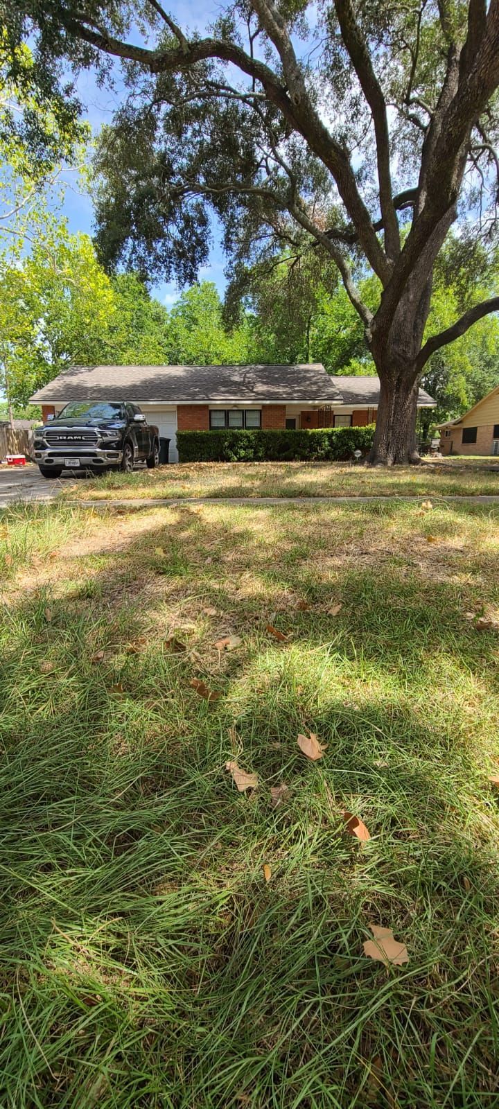 Single-story house with a car under large trees, viewed from a grassy front yard.