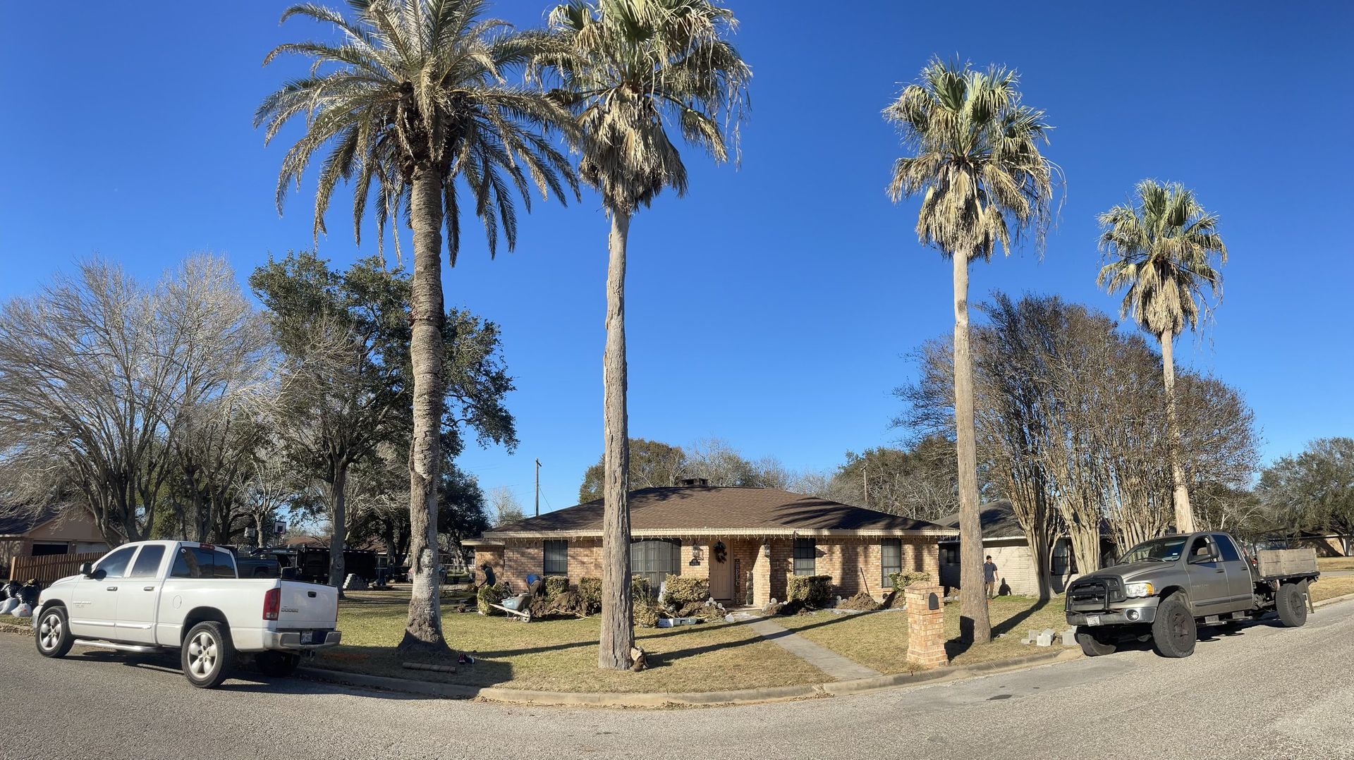Palm-lined residential street with two pickup trucks and a single-story house under a clear blue sky