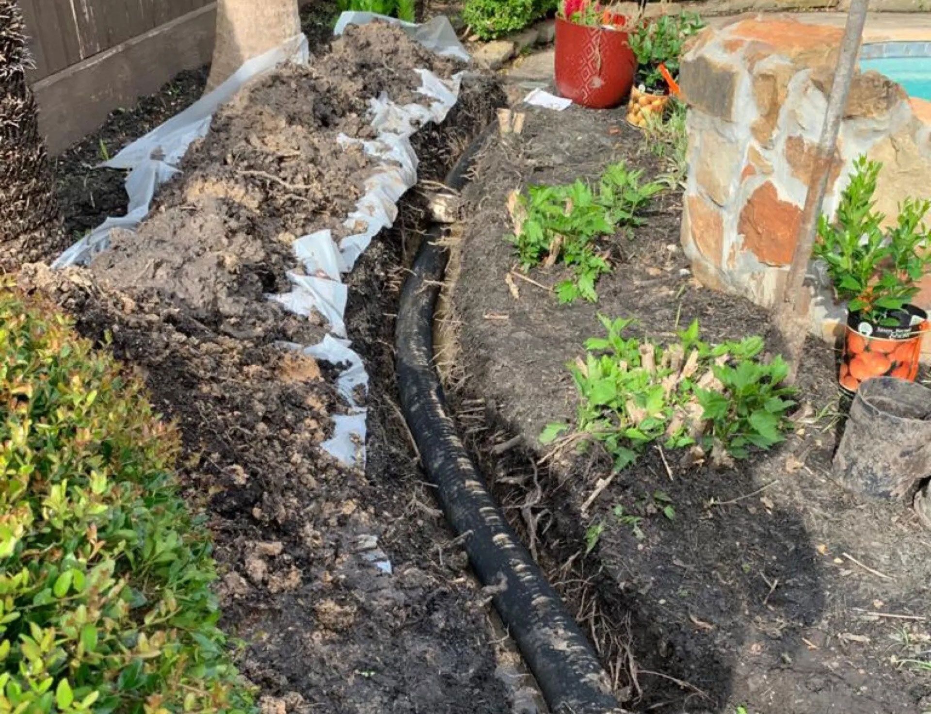 Garden bed with exposed soil, black edging, and small green plants beside a stone wall.