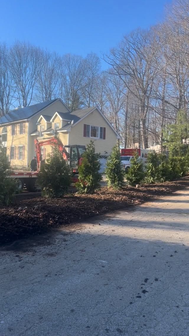 Suburban house with pale yellow siding and red trim, viewed from a gravel driveway beside bare winter trees.