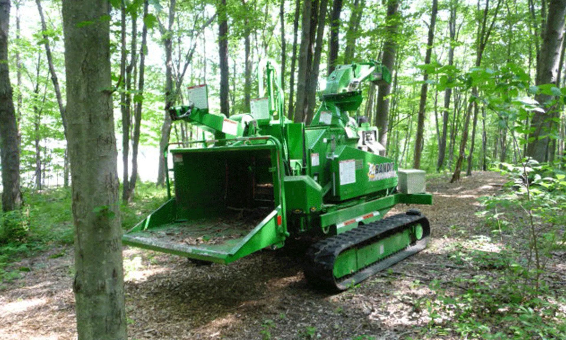 Green forestry machine with tracks in a wooded forest clearing