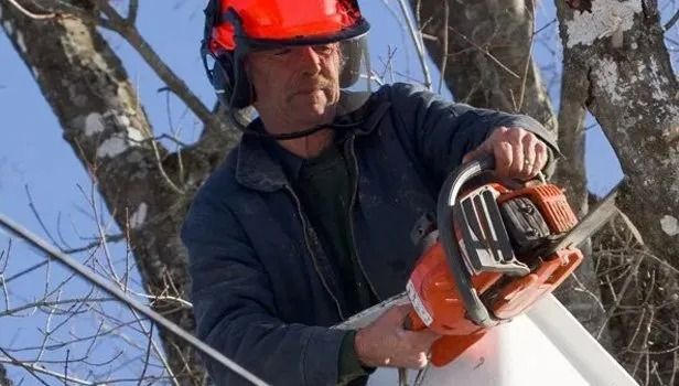Worker in red helmet using a chainsaw to cut a tree branch outdoors