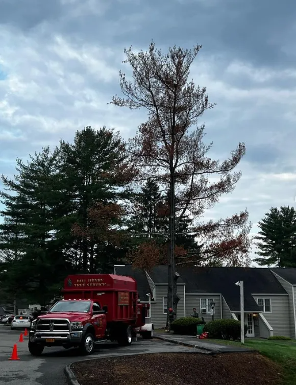 Red truck and traffic cones beside a gray house under cloudy sky, with a tall bare tree nearby