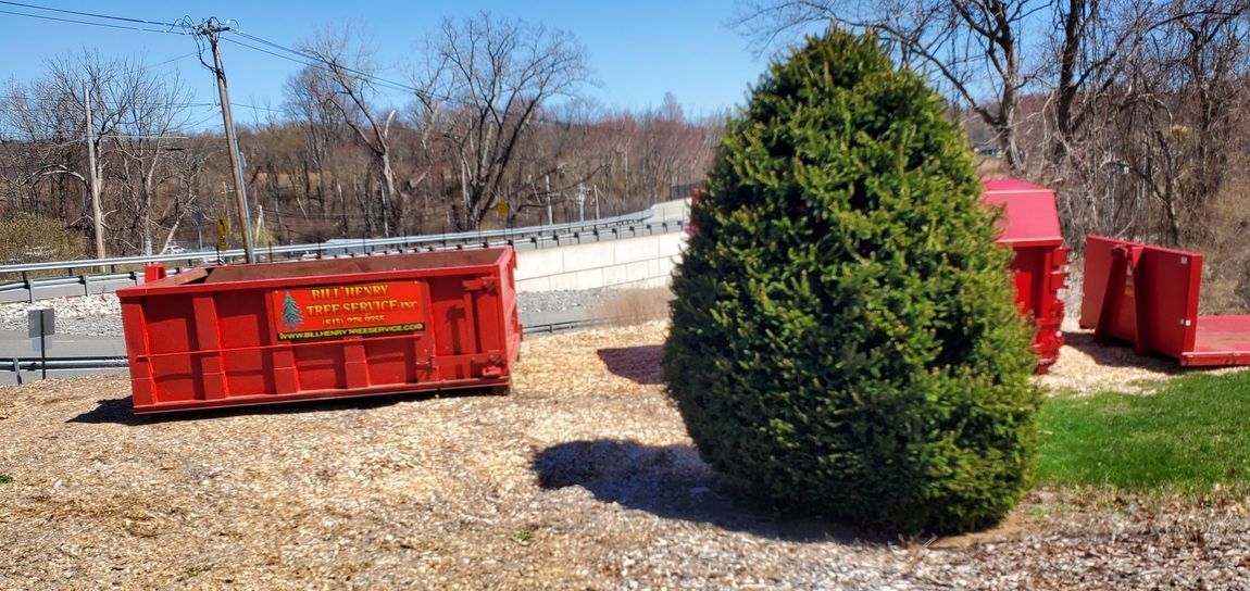 Red dumpster and evergreen bush beside a roadside guardrail on a sunny day