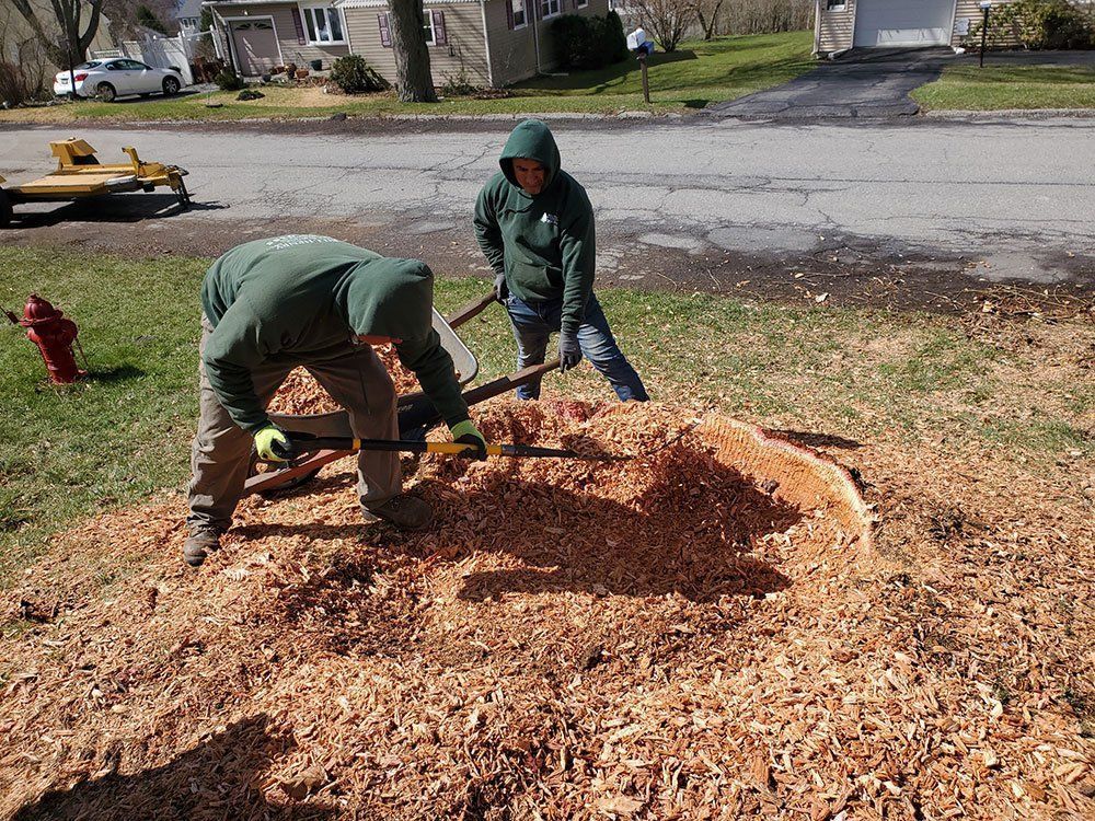 Two people in green hoodies rake a large pile of wood chips in a suburban yard.