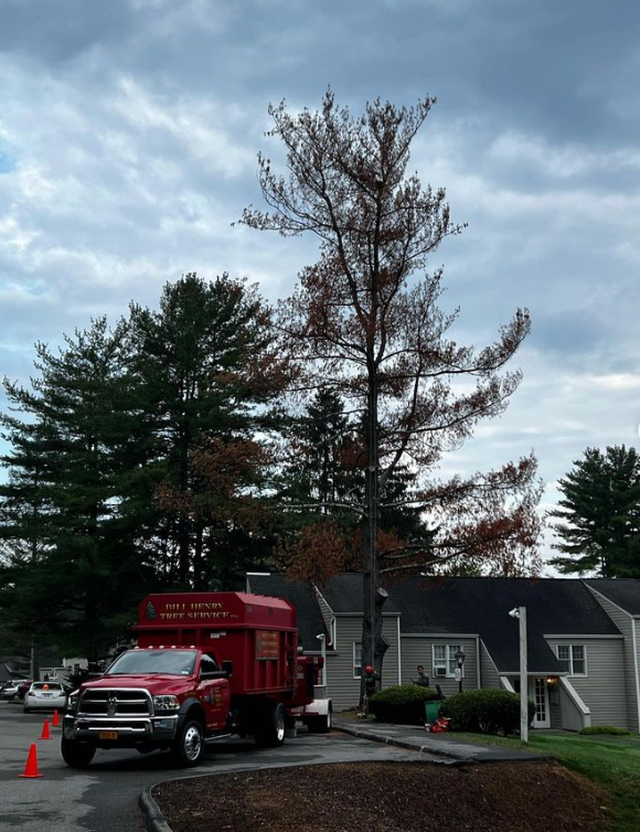 Red utility truck parked by a house under cloudy skies, with cones and a tall tree nearby