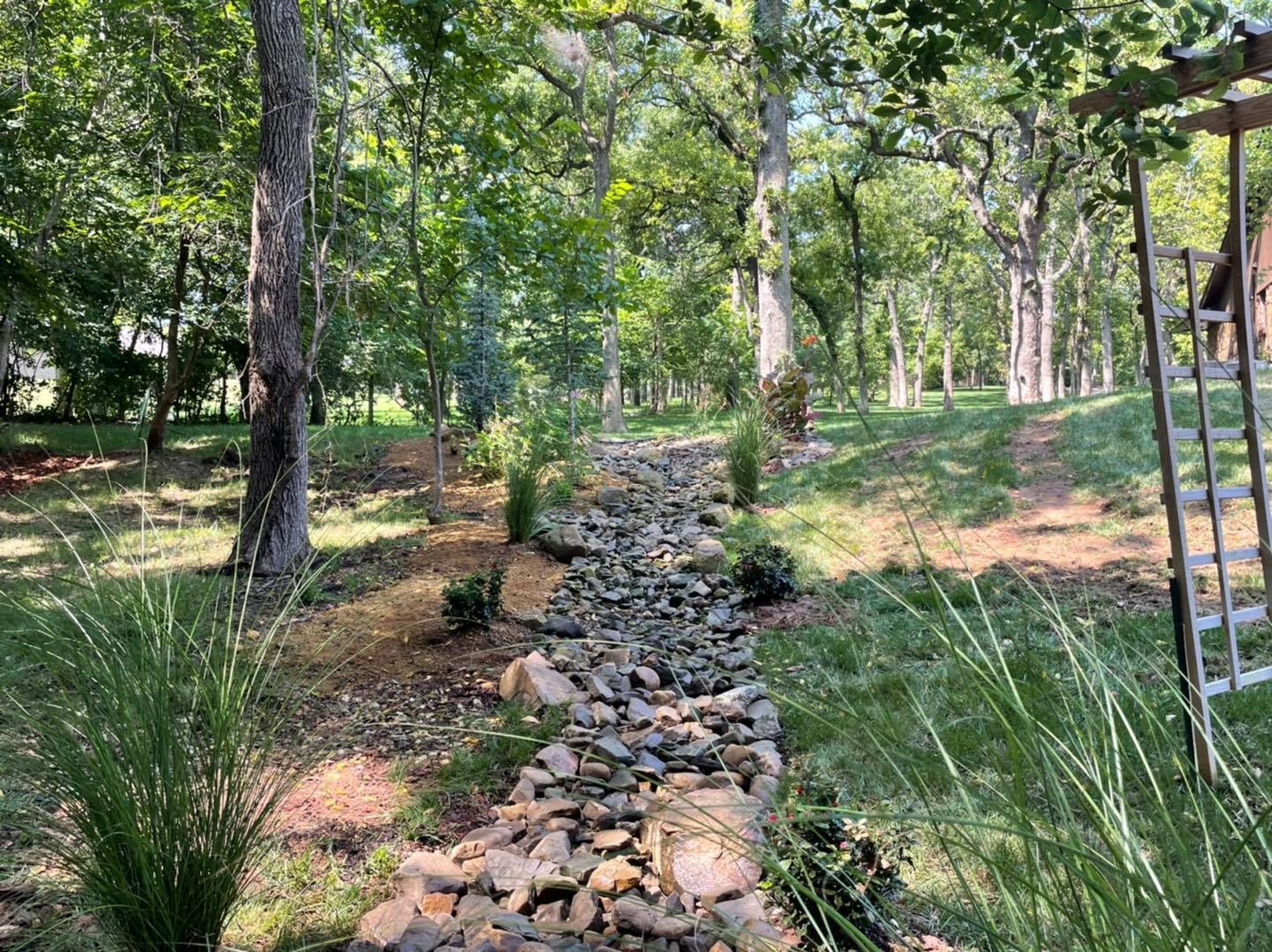 A rocky path leading through a lush green forest.