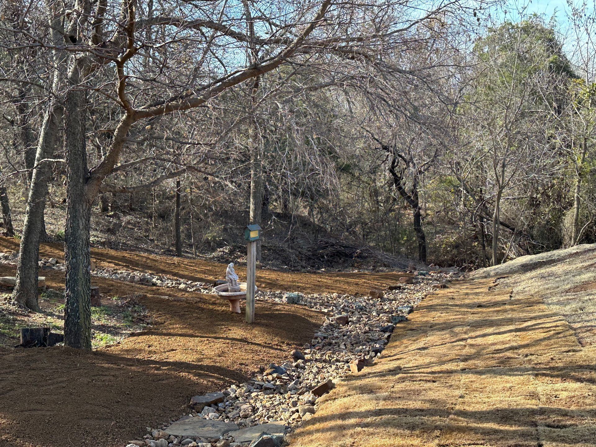 A dirt path in the middle of a forest surrounded by trees.