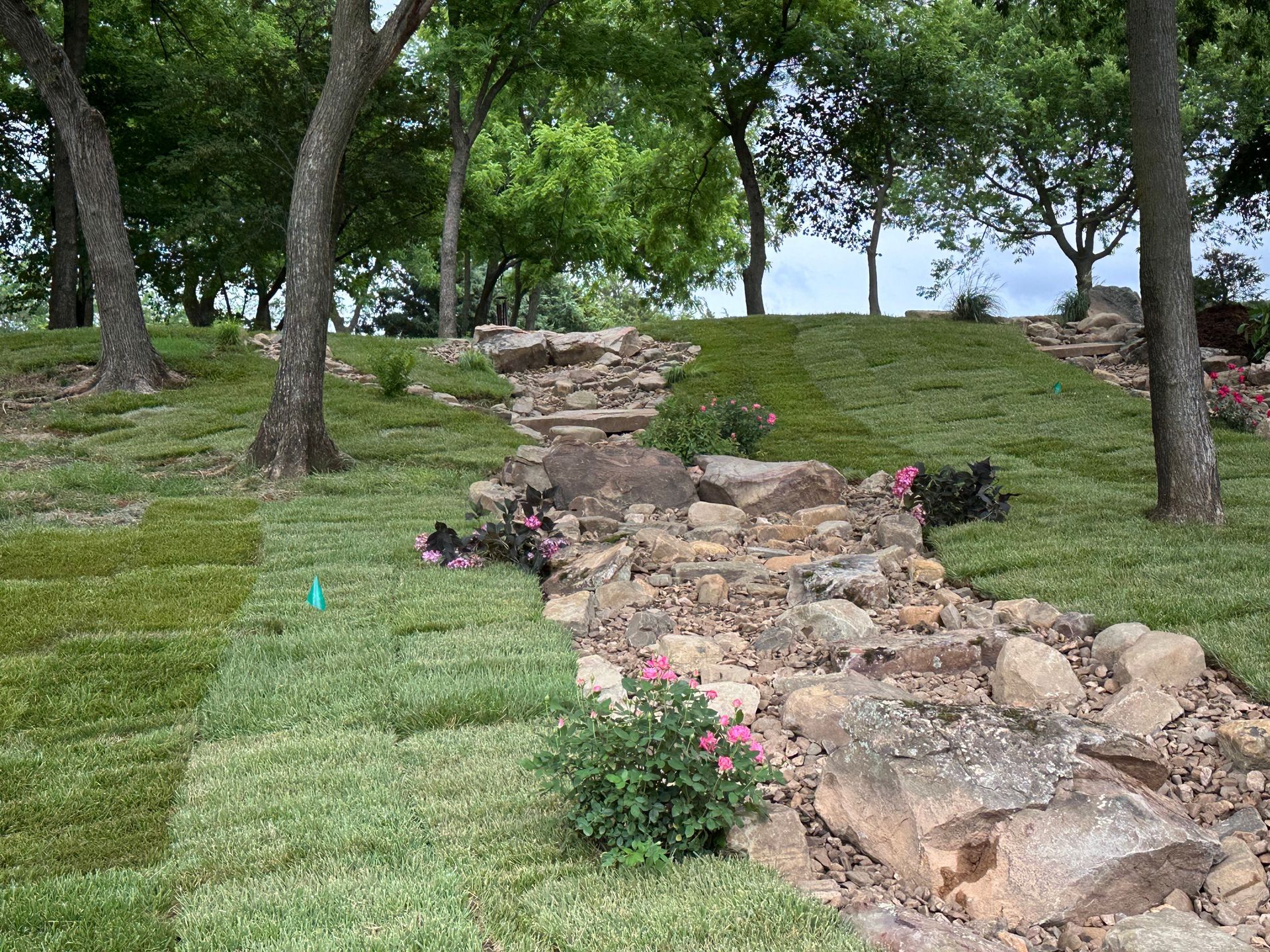 A rocky path in the middle of a lush green field surrounded by trees.