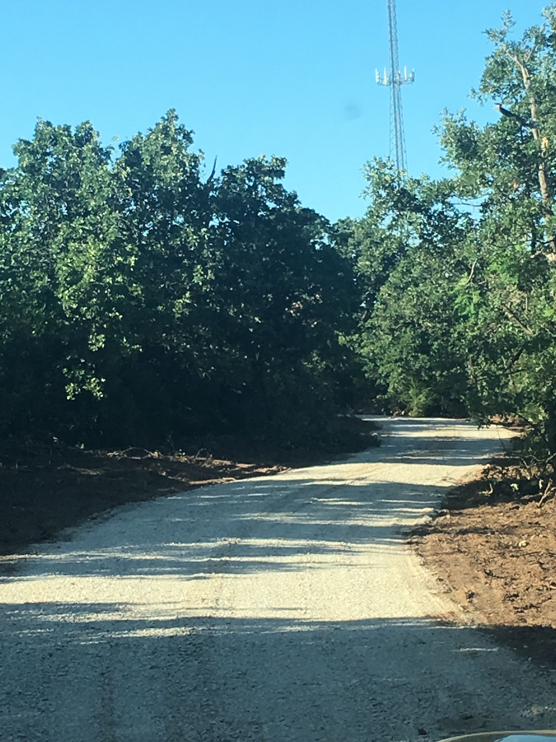 A dirt road with trees on both sides of it