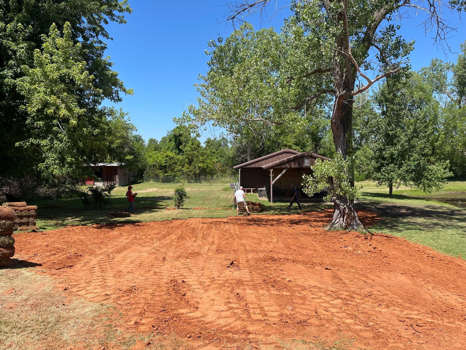A man is standing in a dirt field next to a tree.