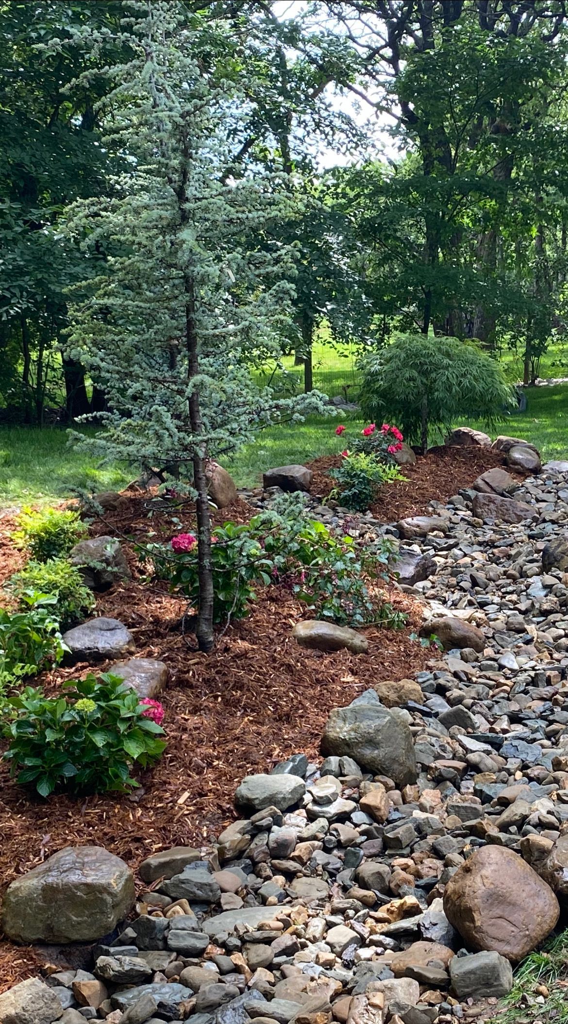 A stream running through a garden surrounded by rocks and trees.