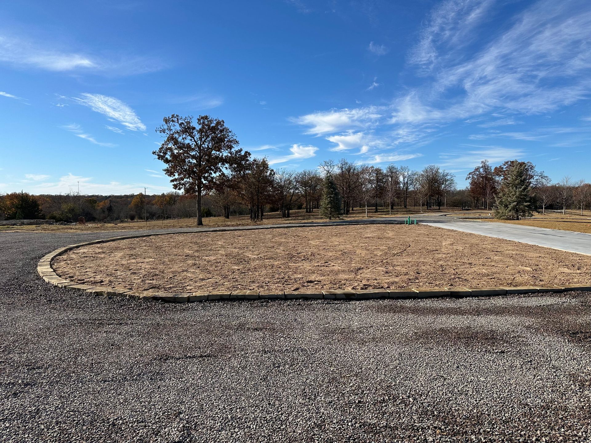 A dirt road with a tree in the middle of it.