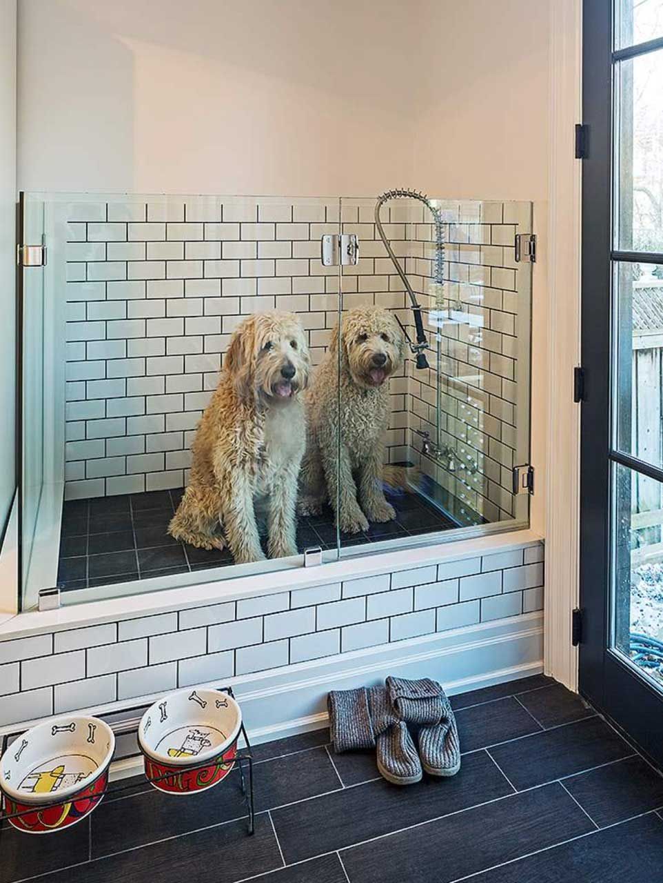 Two dogs are sitting in a bathroom next to a window.