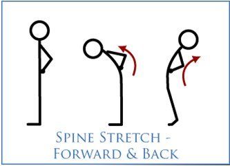 Spine Stretch – Forward & Back