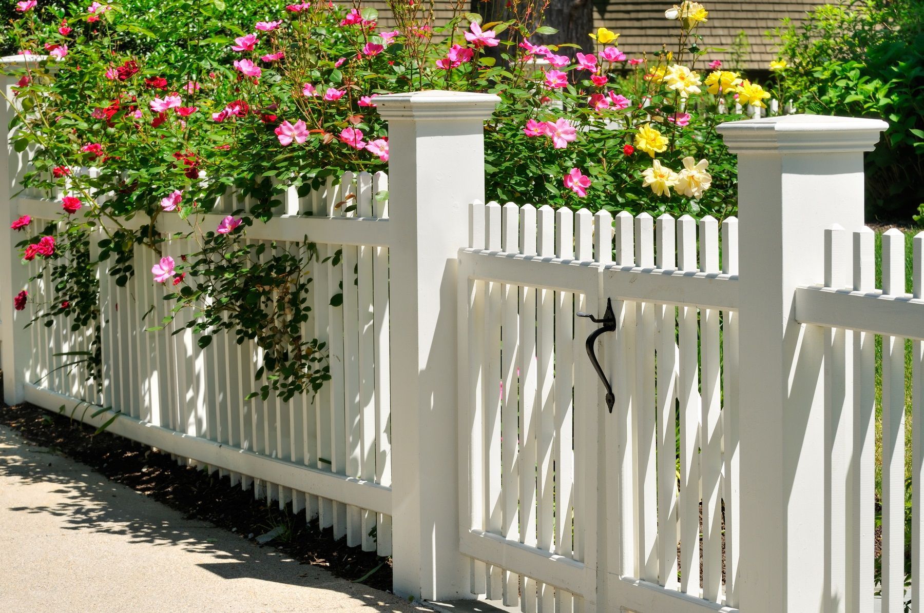A white picket fence with flowers behind it