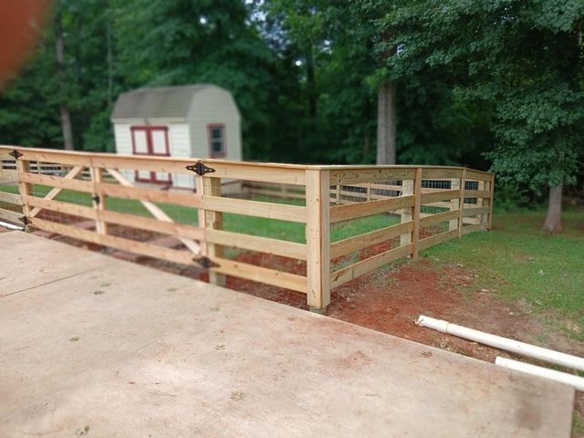 A light-colored wooden fence with a gate stands on a lawn next to a concrete driveway and a small storage shed.