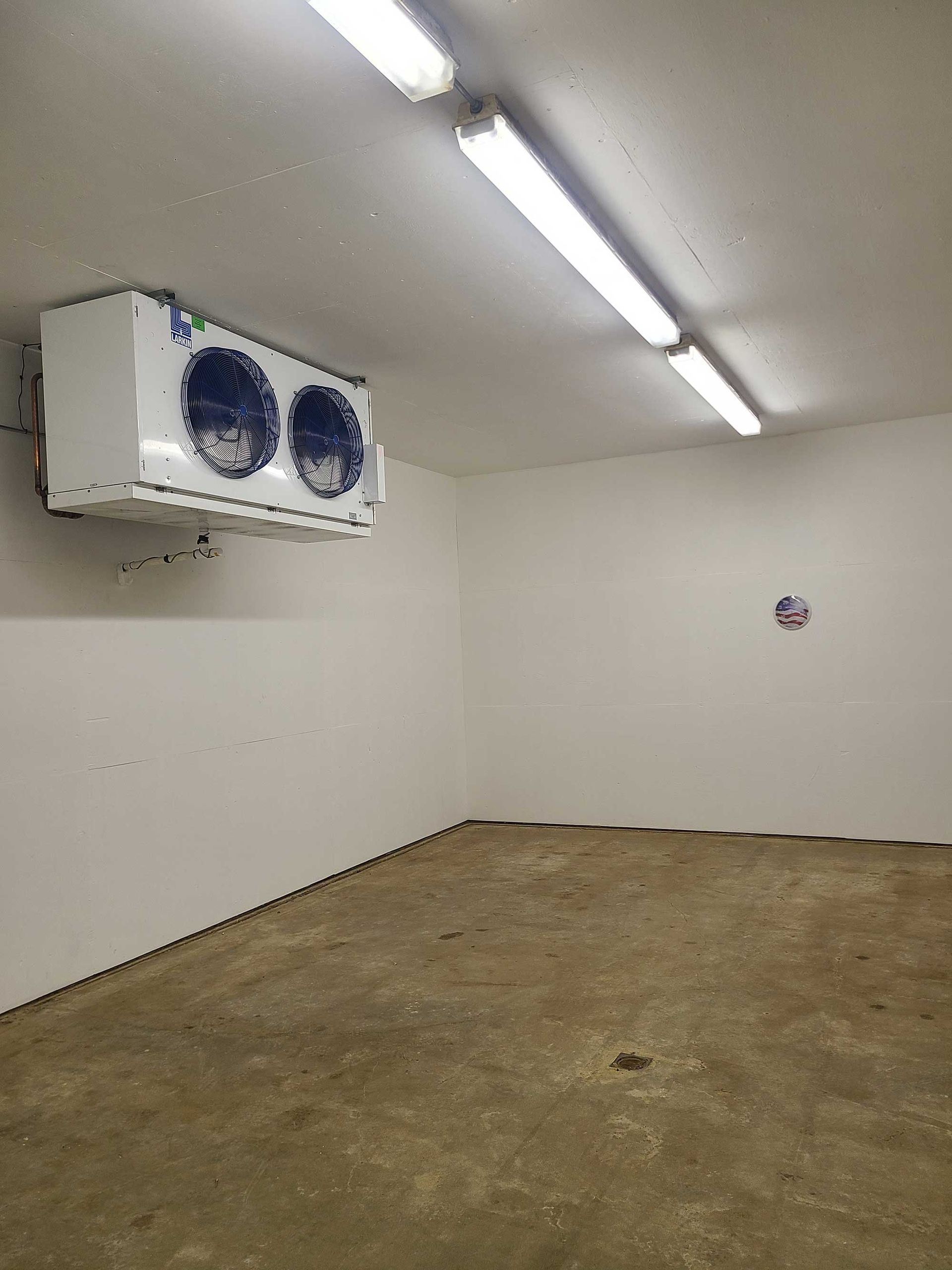 Empty walk-in freezer with a cooling unit on the wall, fluorescent lights on ceiling, and concrete floor.
