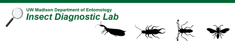Insect Diagnostic Lab