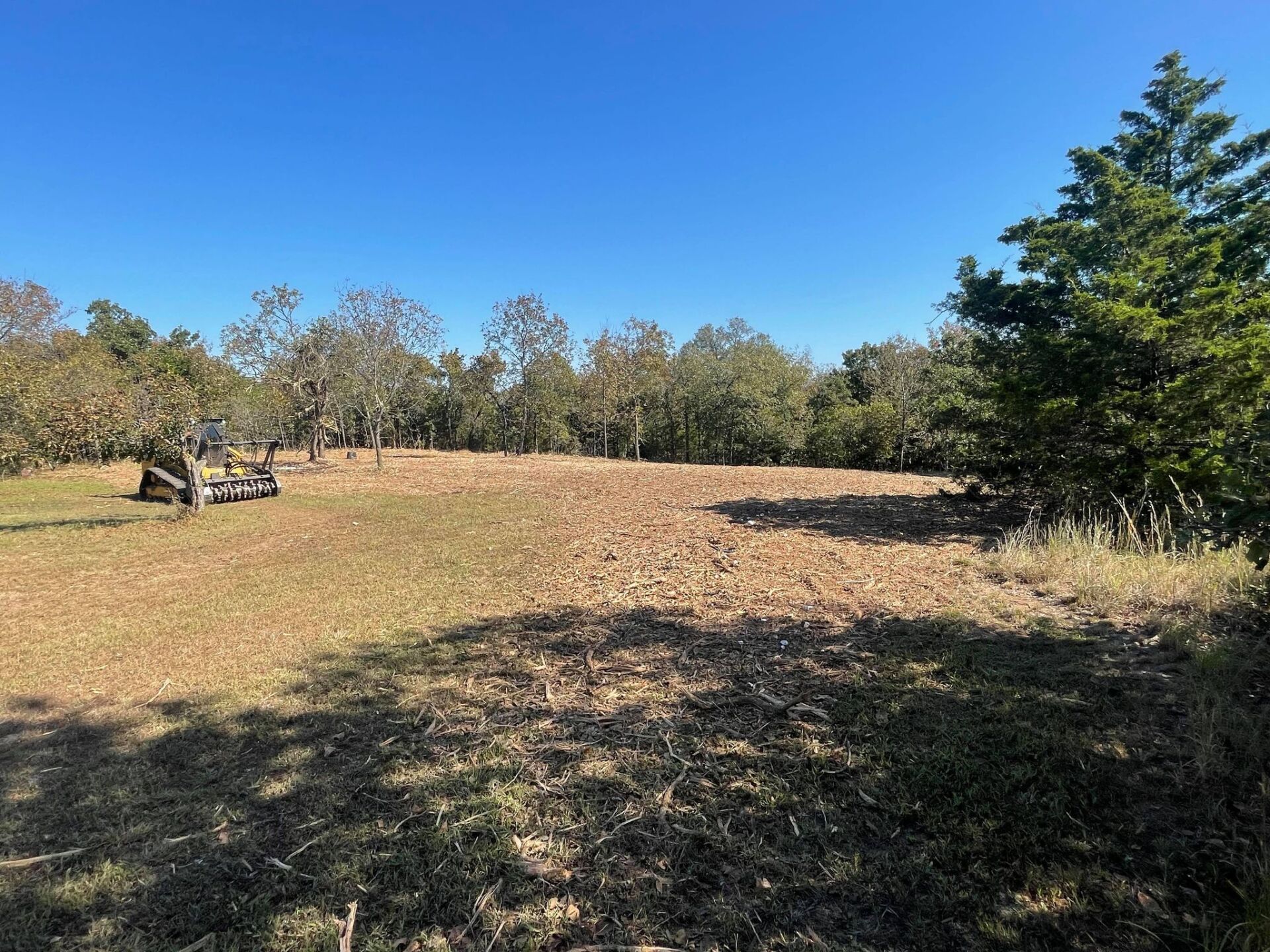 Land Clearing Services Tree Removal Oklahoma City OK