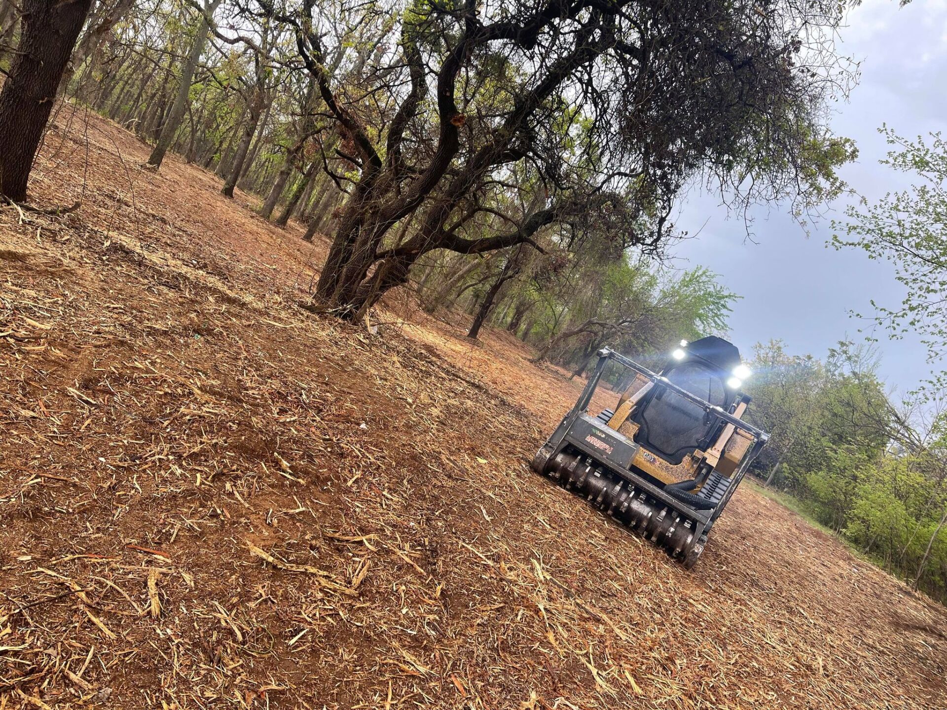 Land Clearing Services Tree Removal Oklahoma City OK