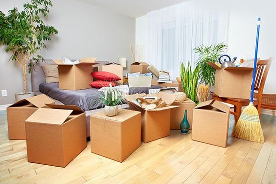 Move-In and Move-Out Services