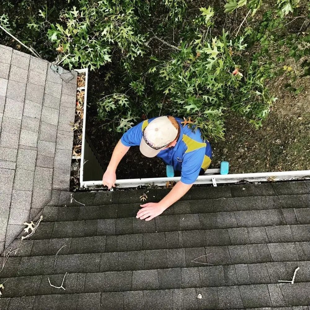 Person on a roof, reaching up toward the shingles beside a leafy tree and gutter.