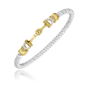 A gold and silver bracelet with a horse bit on it