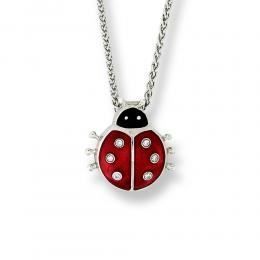 A necklace with a red ladybug pendant on a chain.