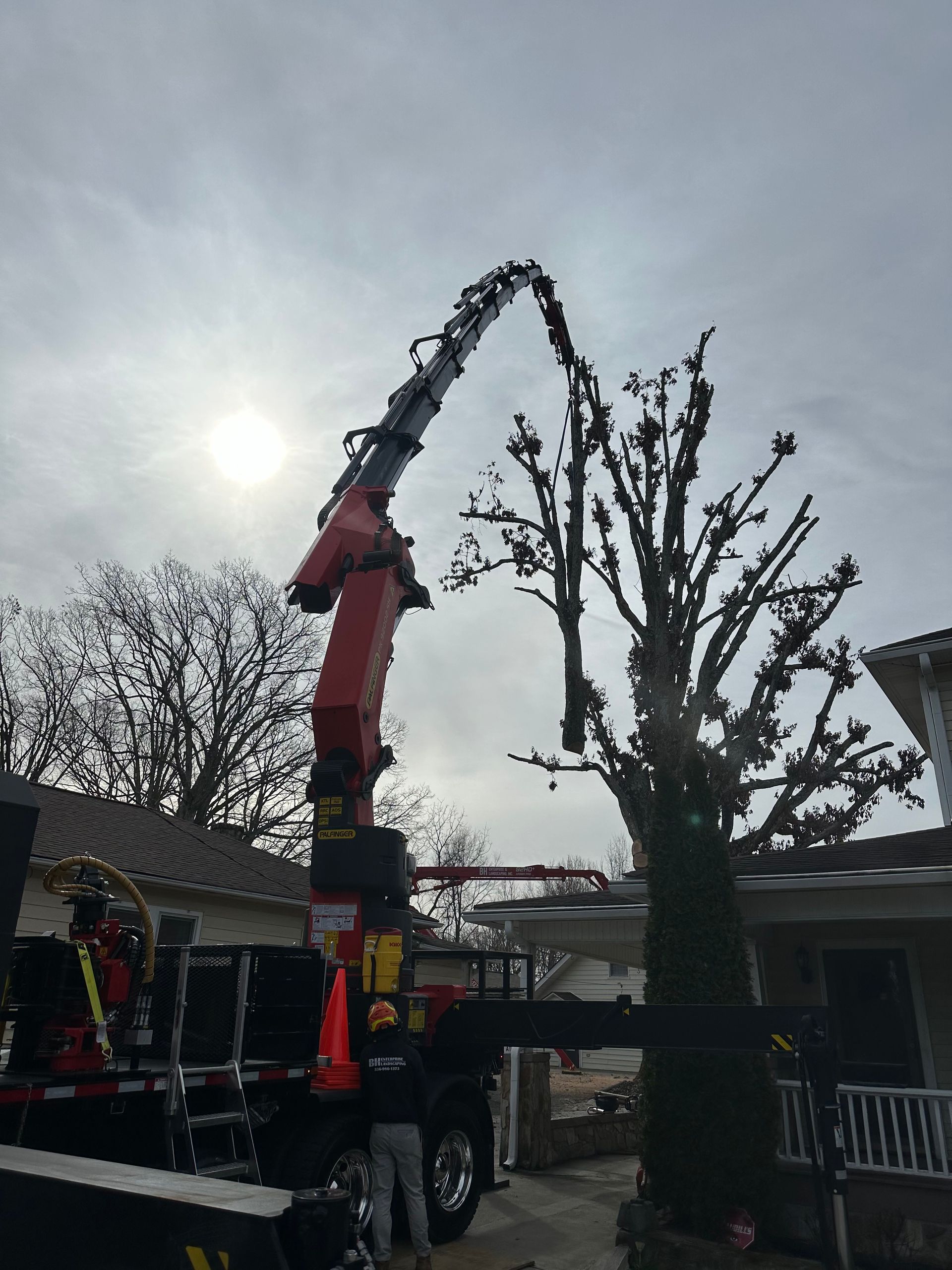 Tree Service