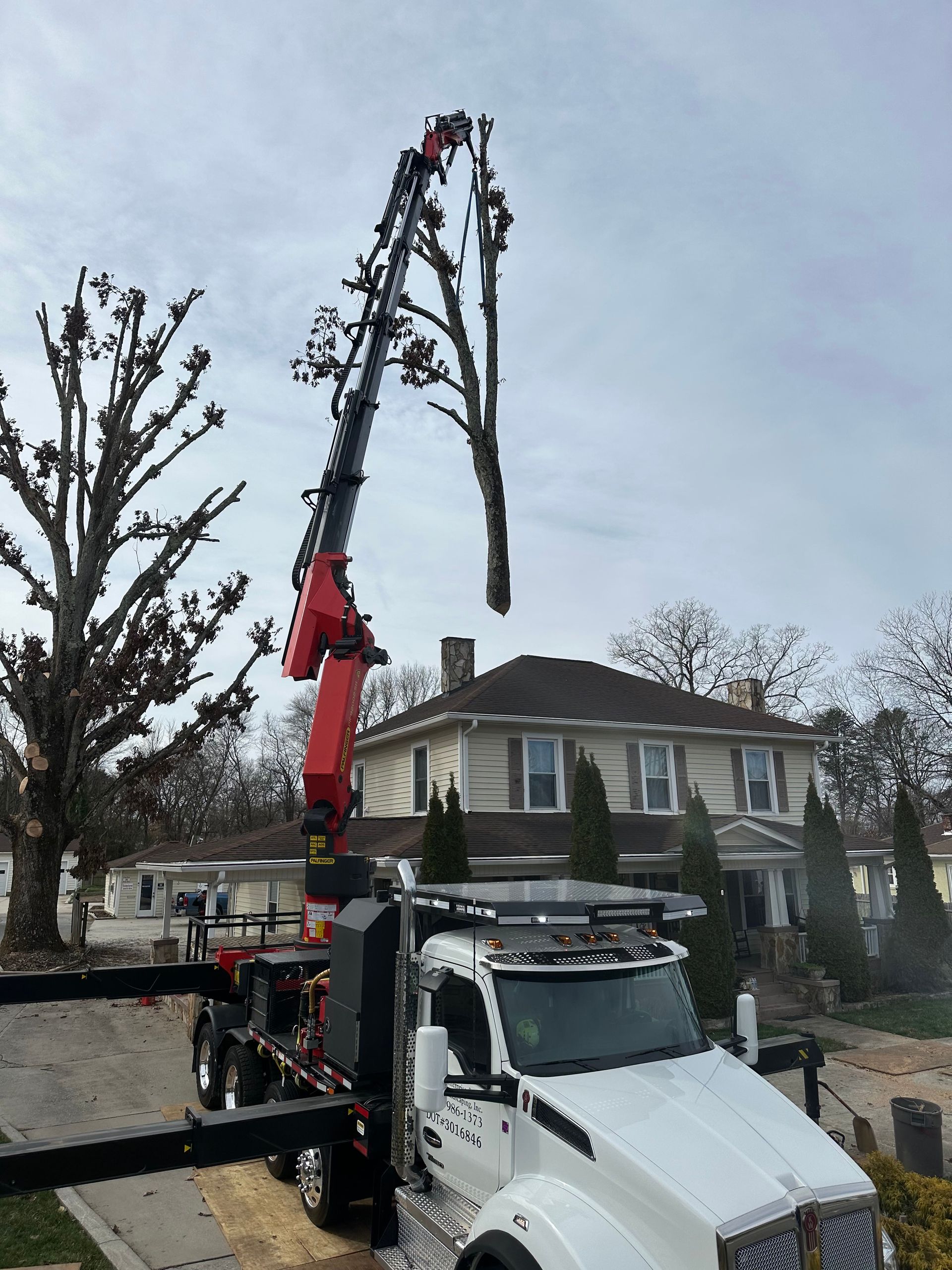 Tree Repair